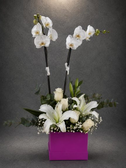 Premium Beyaz Zarafet Orkide Aranjmanı | Point Flowers | Buca Çiçekçi | SLN0009
